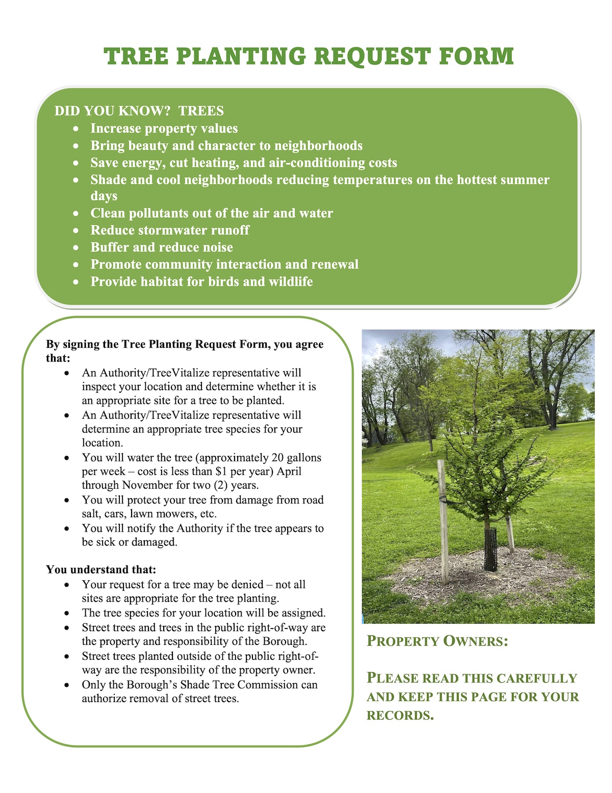 photo of tree planting details
