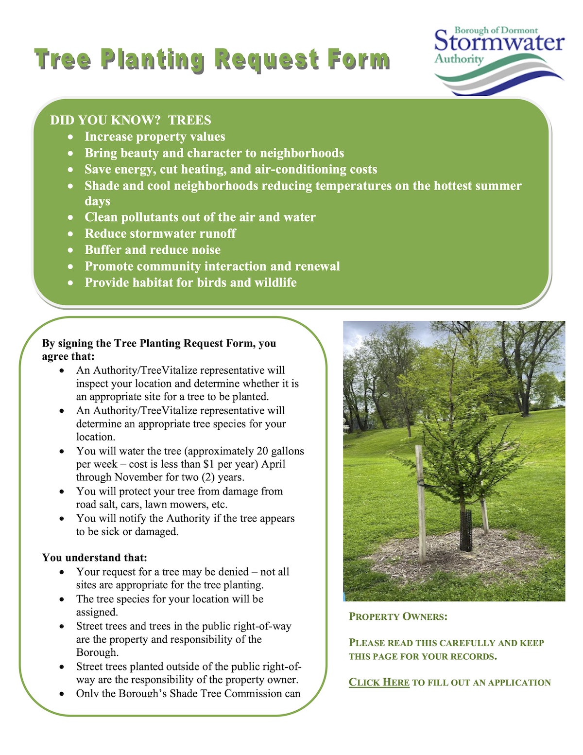 photo of tree planting details