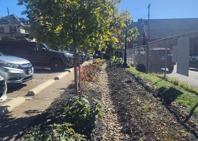 Plants, landscaping, and trees in Dormont